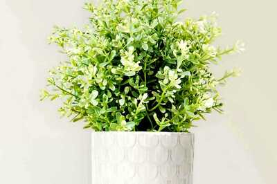 Winter Warmth: Transform Your Home with Cozy Colored Surfaces