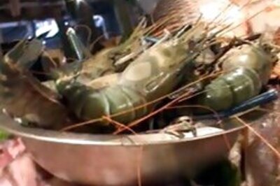 Fish, mutton sellers make a killing in flu-hit Bengal