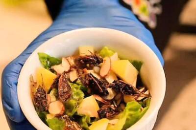 Weird Food Trend: Dishes Made From This Insect Are A New Rage In US