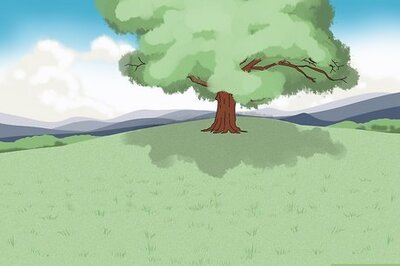 How to Teach Your Dog to Heel