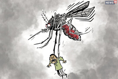 9-year-old Girl Succumbs to Dengue Fever in Kolkata as City Celebrates Panchami