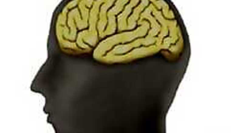 Brain takes decisions 10 secs before we realise