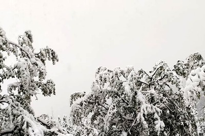 Search for Terrorists in JK Forest Belt Enters 21st Day, Highway Reopens for Traffic After 2 Weeks