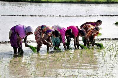 Farm Loan Waivers by States Could Result in Fiscal Slippage: RBI