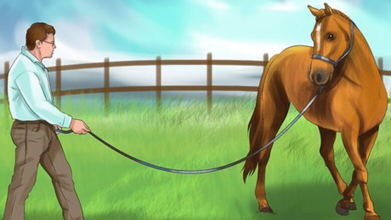 How to Diagnose the Cause of Fatigue in Horses