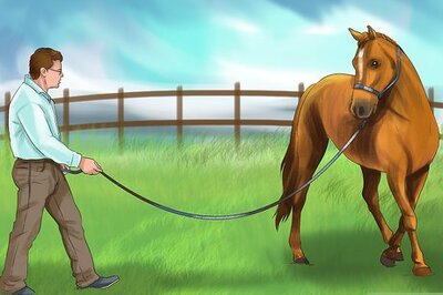 How to Diagnose the Cause of Fatigue in Horses