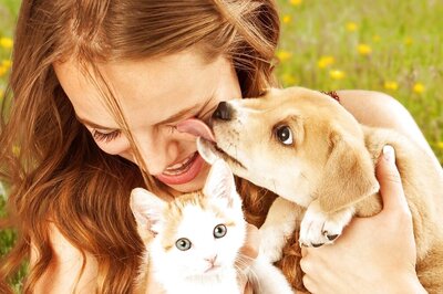 Why is National Pet Day Celebrated in India on April 11? Wishes and Quotes to Share With Pet Lovers