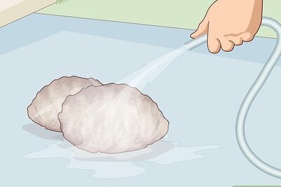 How to Polish Abalone Shells