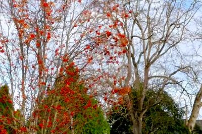 5 Immigration-Friendly Countries For Indian Students