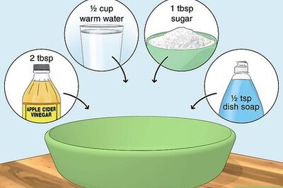 How to Drive Away Gnats for Good: Easy DIY Methods