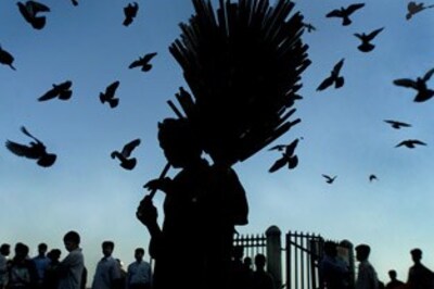 All melodious in Chennai's month of high culture