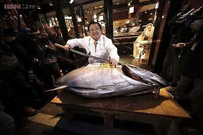 Single bluefin tuna sold for 4.5 million yen in Tokyo