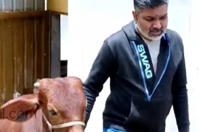 This Tamil Man Left IT Job To Start Cattle Farming In His Hometown