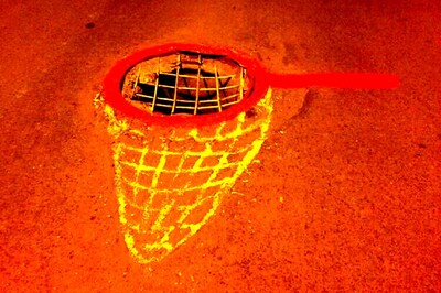 After crocodile, Bengaluru artists highlights pothole problem with a butterfly net