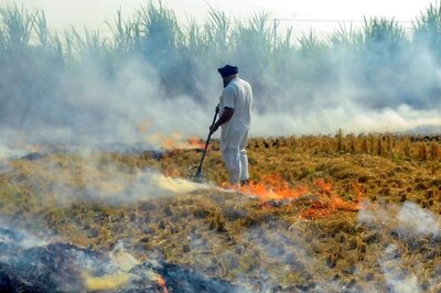 'Why Are Farmers Being Made Villain?’: SC Raps Punjab Govt Over Stubble Burning, Says Take Cue From Haryana