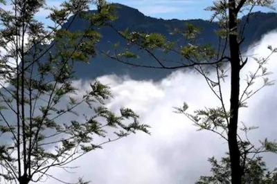 From Sim’s Park To Hidden Valley, 4 Best Places To Visit In Coonoor