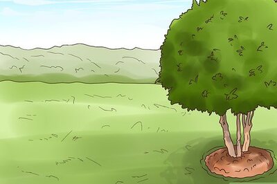 How to Play Flashlight Tag