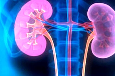 Chronic Kidney Disease Should Be Treated At The Earliest: Experts