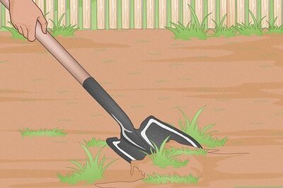 How to Use a Tiller