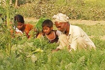 NDA pro-privatisation, UPA pro-rural: report