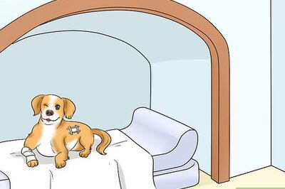 How to Train an Abused Dog