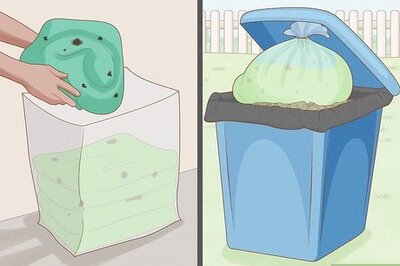 How to Kill Bed Bugs