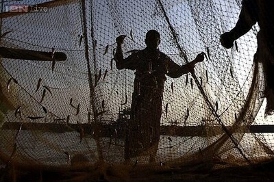 'India way behind China in fish production', says a fisheries scientist