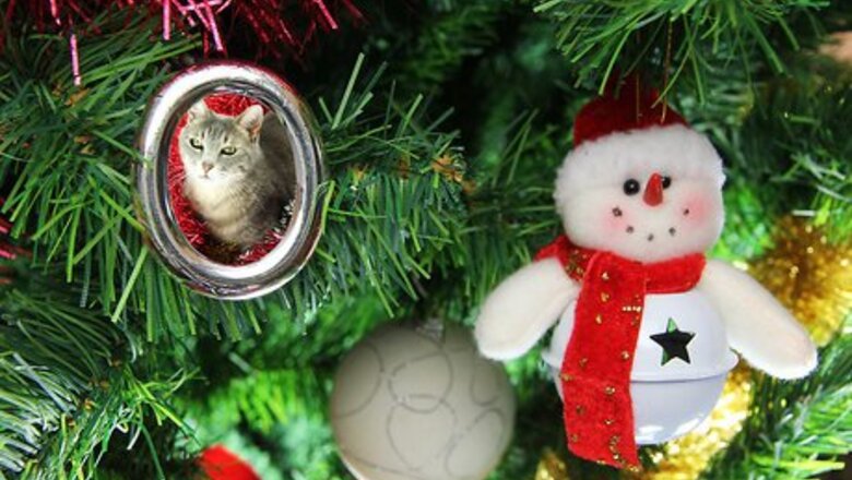 How to Involve a Pet in Christmas