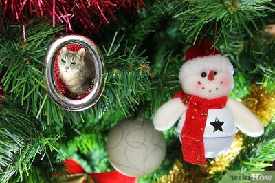 How to Involve a Pet in Christmas