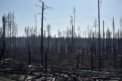 Ukraine Says Forest Fire around Chernobyl Nuclear Plant Put Out