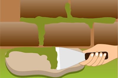 How to Dry Moss