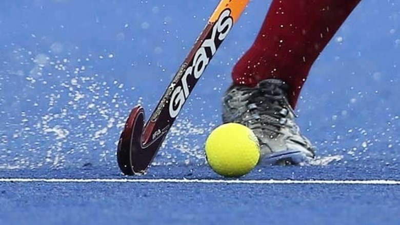 More astroturf and tough games can turn around Indian hockey: Oltmans