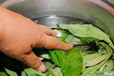 How to Eliminate Grey Hair (Sage or Rosemary Method)