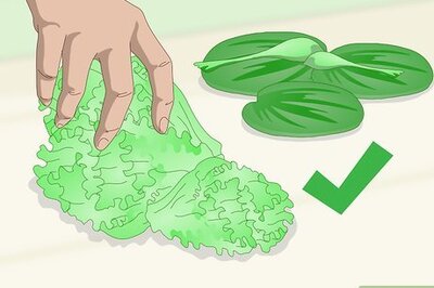 How to Feed a Red‐Eared Slider Turtle