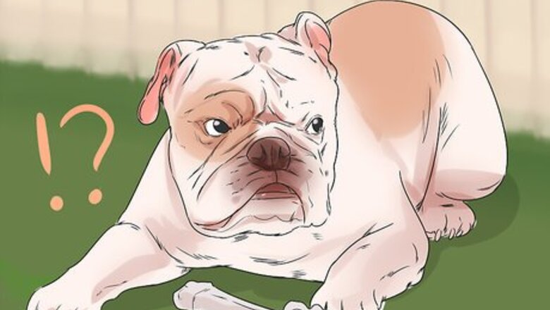 How to Help a Reactive Dog Relax Around Food