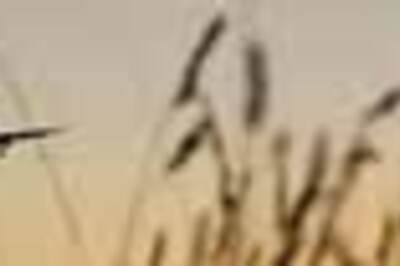 Man fined for gratifying acts on a plane