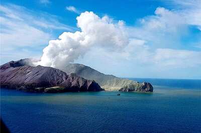 Indian-American Succumbs Month after His Wife Died in NZ Volcanic Eruption, 3 Children Orphaned