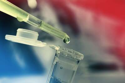 Korean Researchers Come Up With New Method to Treat Injured Cartilage