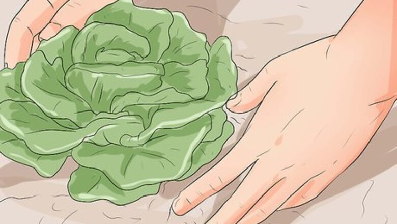 How to Prevent Angiostrongyliasis