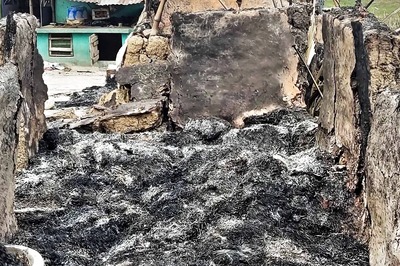 News18 Evening Digest: Cal HC Orders Bengal Govt to Protect Birbhum Arson Eyewitnesses & Other Top Stories