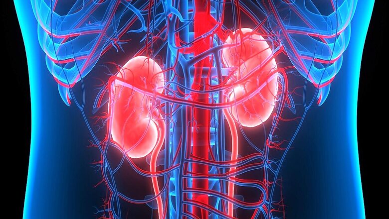 Assam Kidney Racket: Microfinance Debt and Lockdown Woes Force 20 People to Sell Kidneys
