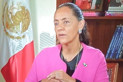 Don't Expect Mexico to Pay for the US Wall: Mexican Envoy to India