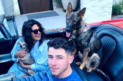 New Parents Priyanka Chopra And Nick Jonas Take A Break From Baby Duties For A Drive. See Pic