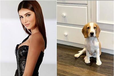 Tara Sutaria Introduces Her Cute New Family Member, Tags Rumoured Boyfriend Aadar Jain