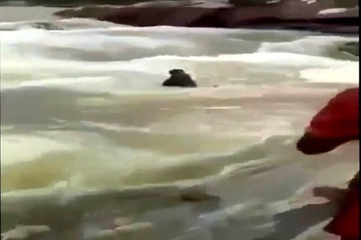 Three MBA Students Drown While Swimming in Maharashtra Dam