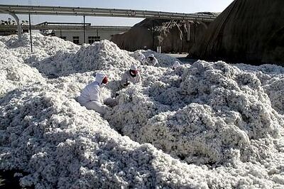 U.S. Considering Ban On Cotton From Xinjiang Region Of China Over Rights Concerns - NYT