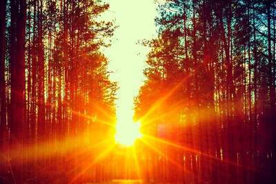 Aaj Ka Panchang, 4 May, 2024: Tithi, Vrat, and Today’s Shubh, Ashubh Muhurat