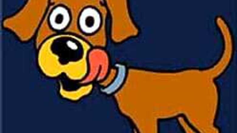 Redemption for possessed stray dog