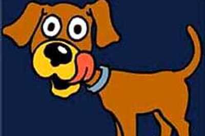 Redemption for possessed stray dog