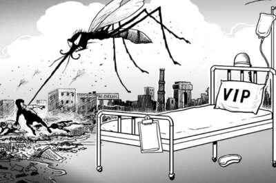 Special Teams to Prevent Dengue in President's Estate
